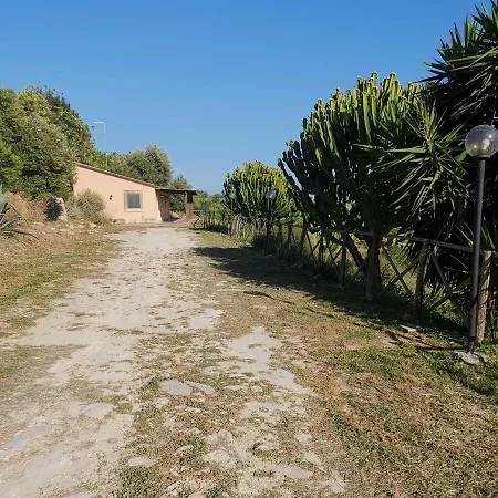 Saccollino Farma